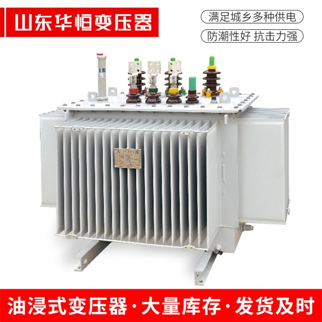 S13-10000/35湟中湟中湟中电力变压器